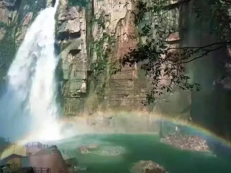 拯救小萌虎